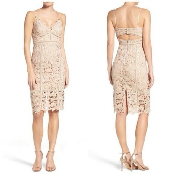 BARDOT Botanica Lace Bodycon Dress Size XS Feminine Wedding Guest Cocktail Dress - Picture 1 of 13